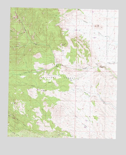 Steel Hill, NM USGS Topographic Map