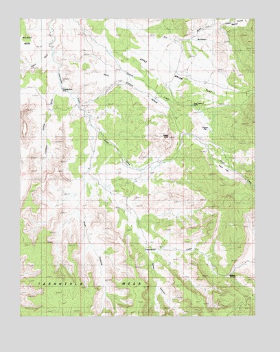 Steele Butte, UT USGS Topographic Map