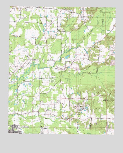Steens, MS USGS Topographic Map
