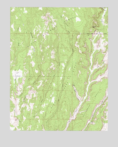 Steep Creek Bench, UT USGS Topographic Map