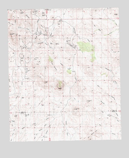 Steeple Rock, NM USGS Topographic Map