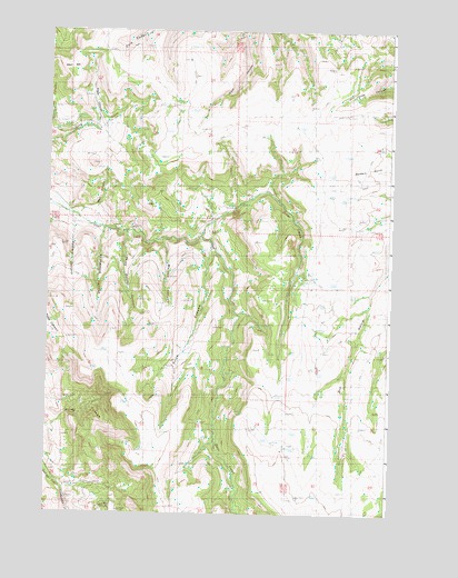 Steet Mountain, OR USGS Topographic Map