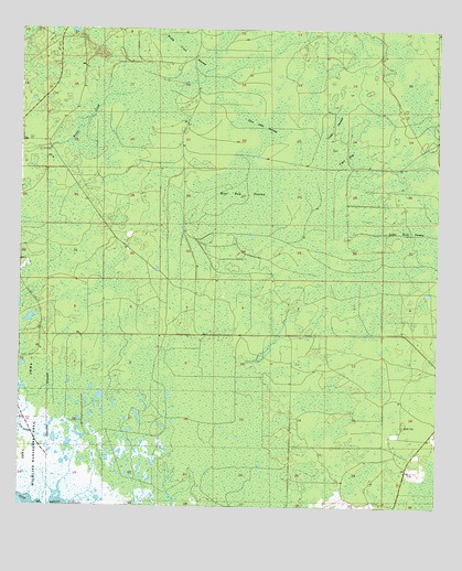Steinhatchee SE, FL USGS Topographic Map