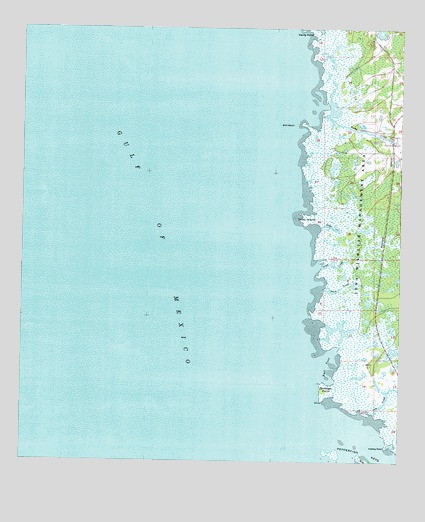 Steinhatchee SW, FL USGS Topographic Map
