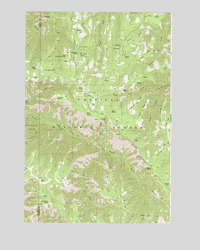 Stentz Spring, WA USGS Topographic Map