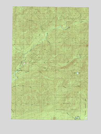 Stequaleho Creek, WA USGS Topographic Map