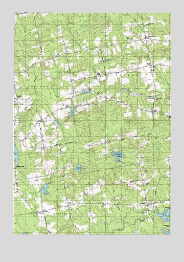 Stetson, ME USGS Topographic Map