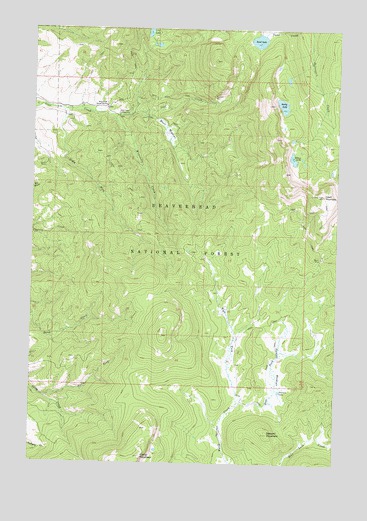 Stewart Mountain, MT USGS Topographic Map