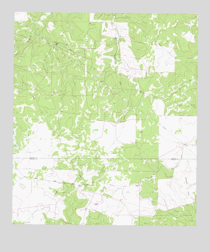 Stewart Ranch, TX USGS Topographic Map