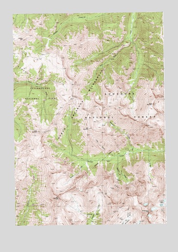 Stinkingwater Peak, WY USGS Topographic Map