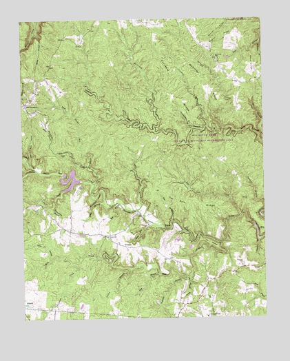 Stockton, TN USGS Topographic Map