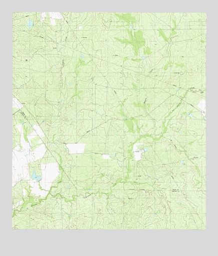 Blancas Creek South, TX USGS Topographic Map