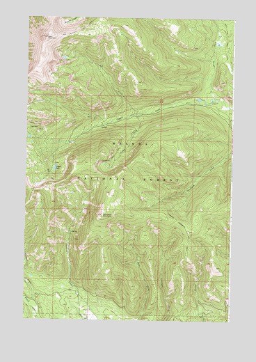 Stonewall Mountain, MT USGS Topographic Map