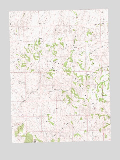 Stormy Peak, NV USGS Topographic Map