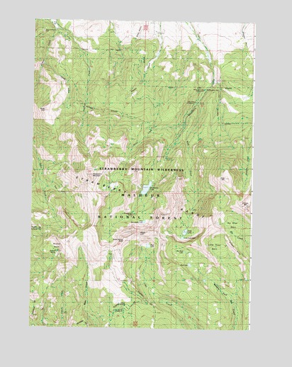 Strawberry Mountain, OR USGS Topographic Map