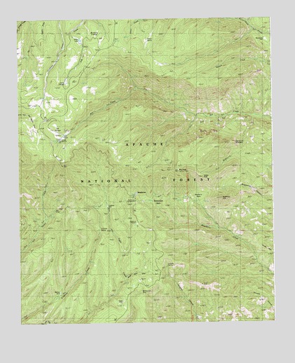 Strayhorse, AZ USGS Topographic Map