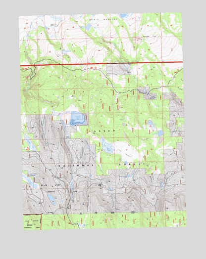Straylor Lake, CA USGS Topographic Map