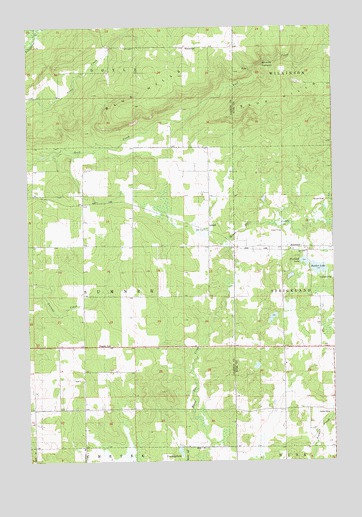 Strickland, WI USGS Topographic Map