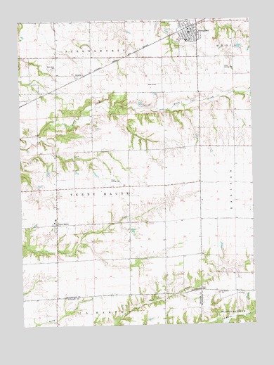 Stronghurst, IL USGS Topographic Map
