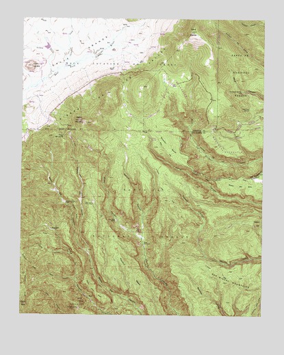 Bland, NM USGS Topographic Map