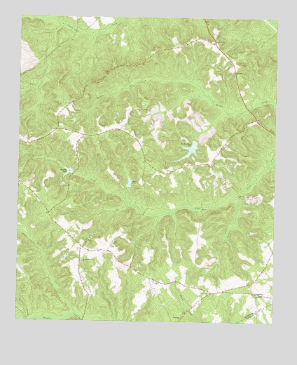 Stuckey Boone Lake, GA USGS Topographic Map