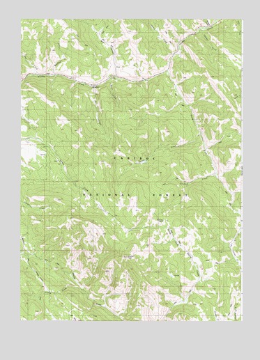 Stump Peak, ID USGS Topographic Map