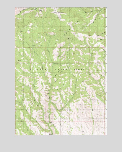 Sturgill Peak, ID USGS Topographic Map