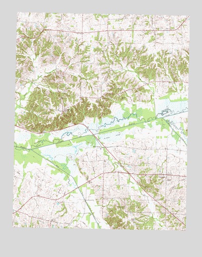 Blandville, KY USGS Topographic Map