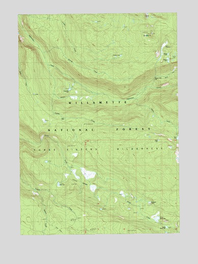 Substitute Point, OR USGS Topographic Map