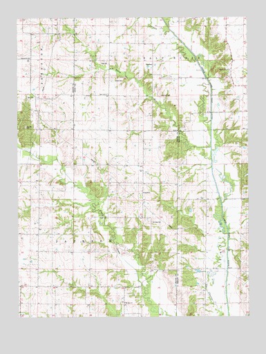 Sue City, MO USGS Topographic Map