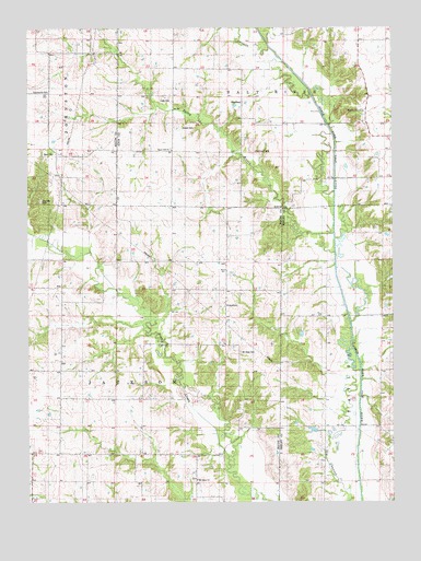 Sue City, MO USGS Topographic Map