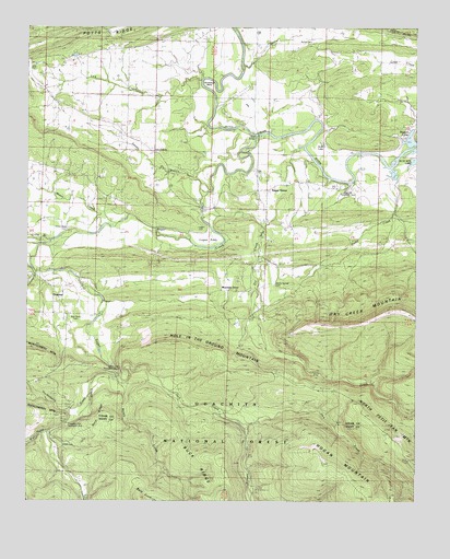 Sugar Grove, AR USGS Topographic Map