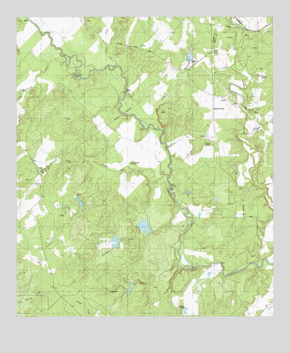 Blanket Springs, TX USGS Topographic Map