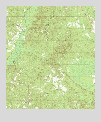 Suggsville, AL USGS Topographic Map