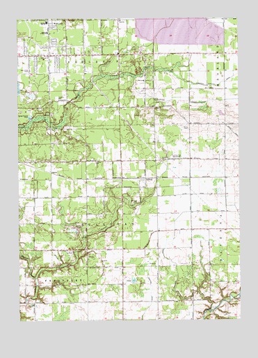 Sullivan, MI USGS Topographic Map
