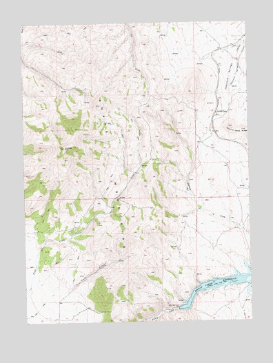 Summer Camp, NV USGS Topographic Map