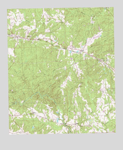 Bleecker, AL USGS Topographic Map