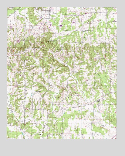 Blevins, AR USGS Topographic Map