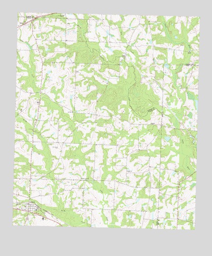 Sumner, GA USGS Topographic Map