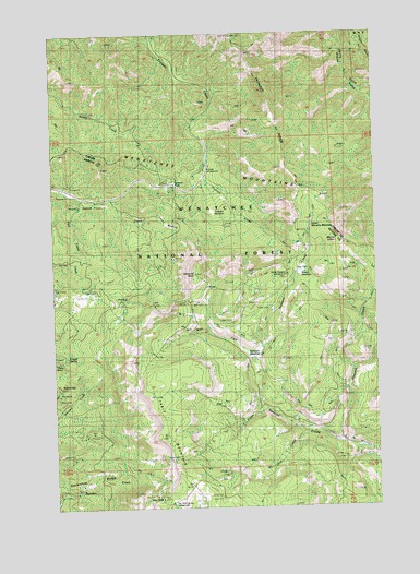 Blewett Pass, WA USGS Topographic Map