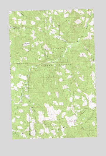Sunday Mountain, MT USGS Topographic Map