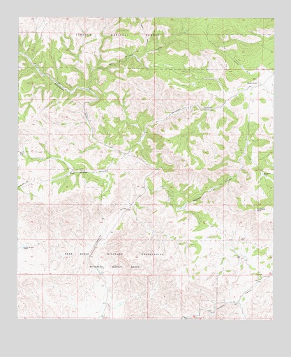 Surveyors Canyon, NM USGS Topographic Map
