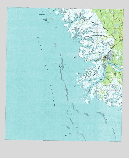 Suwannee, FL USGS Topographic Map