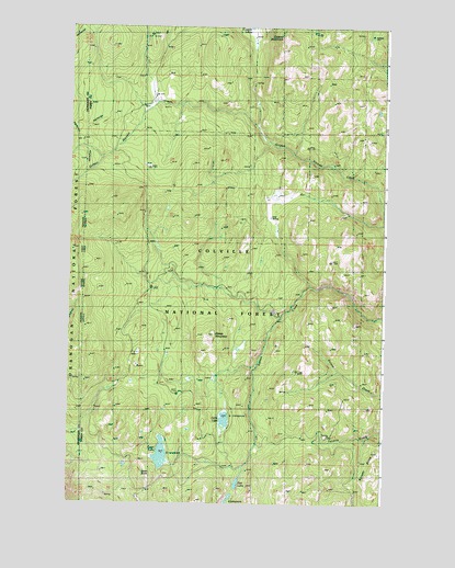 Swan Lake, WA USGS Topographic Map