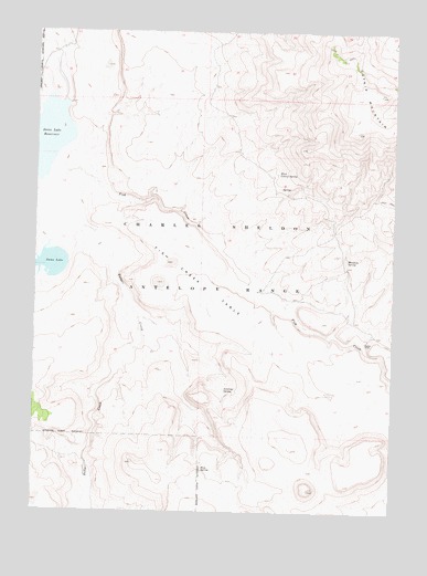 Swan Lake, NV USGS Topographic Map