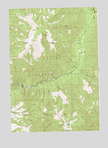 Swanholm Peak, ID USGS Topographic Map