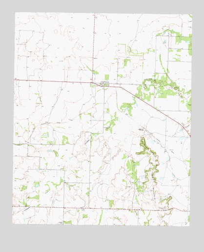 Swenson, TX USGS Topographic Map