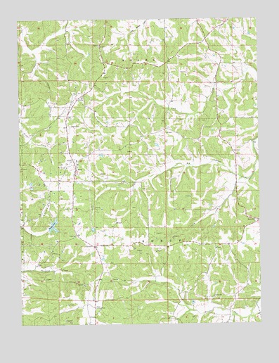 Swiss, MO USGS Topographic Map