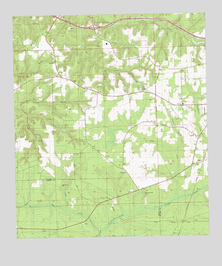 Sycamore, FL USGS Topographic Map