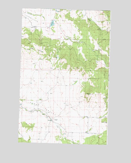 Synarep, WA USGS Topographic Map